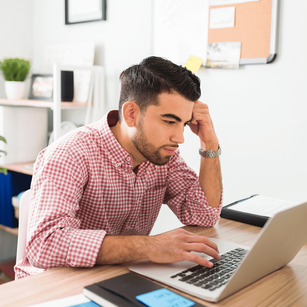 man reading laptop screen
