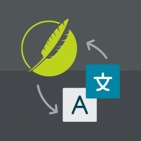 NEW-FlareTranslation-2