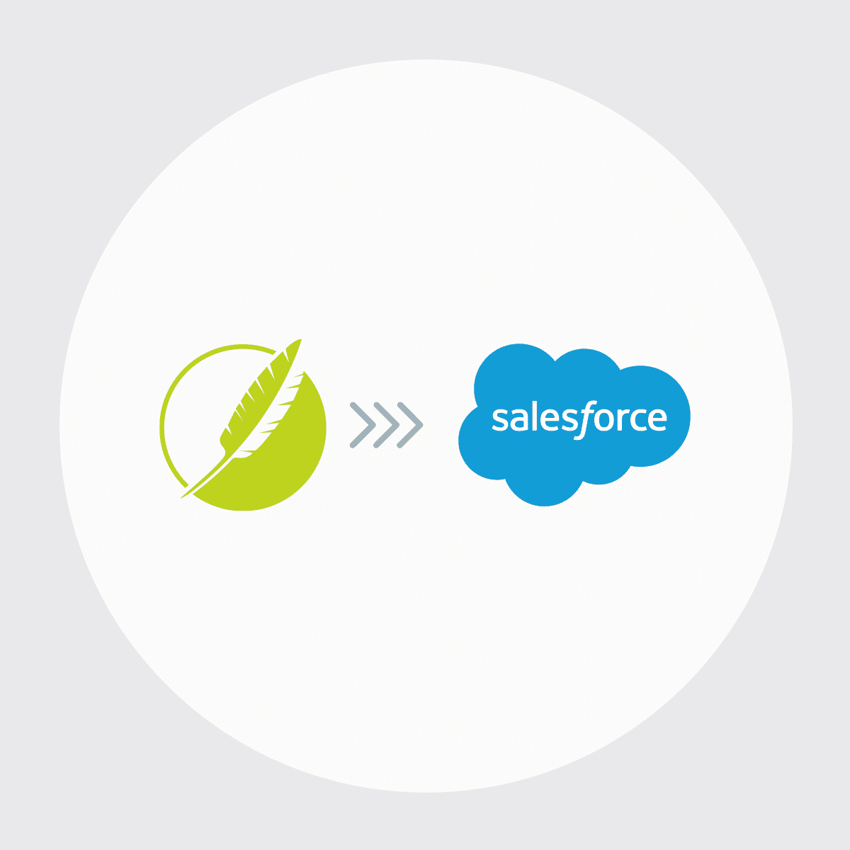 MadCap Connect for Saleforce Icon