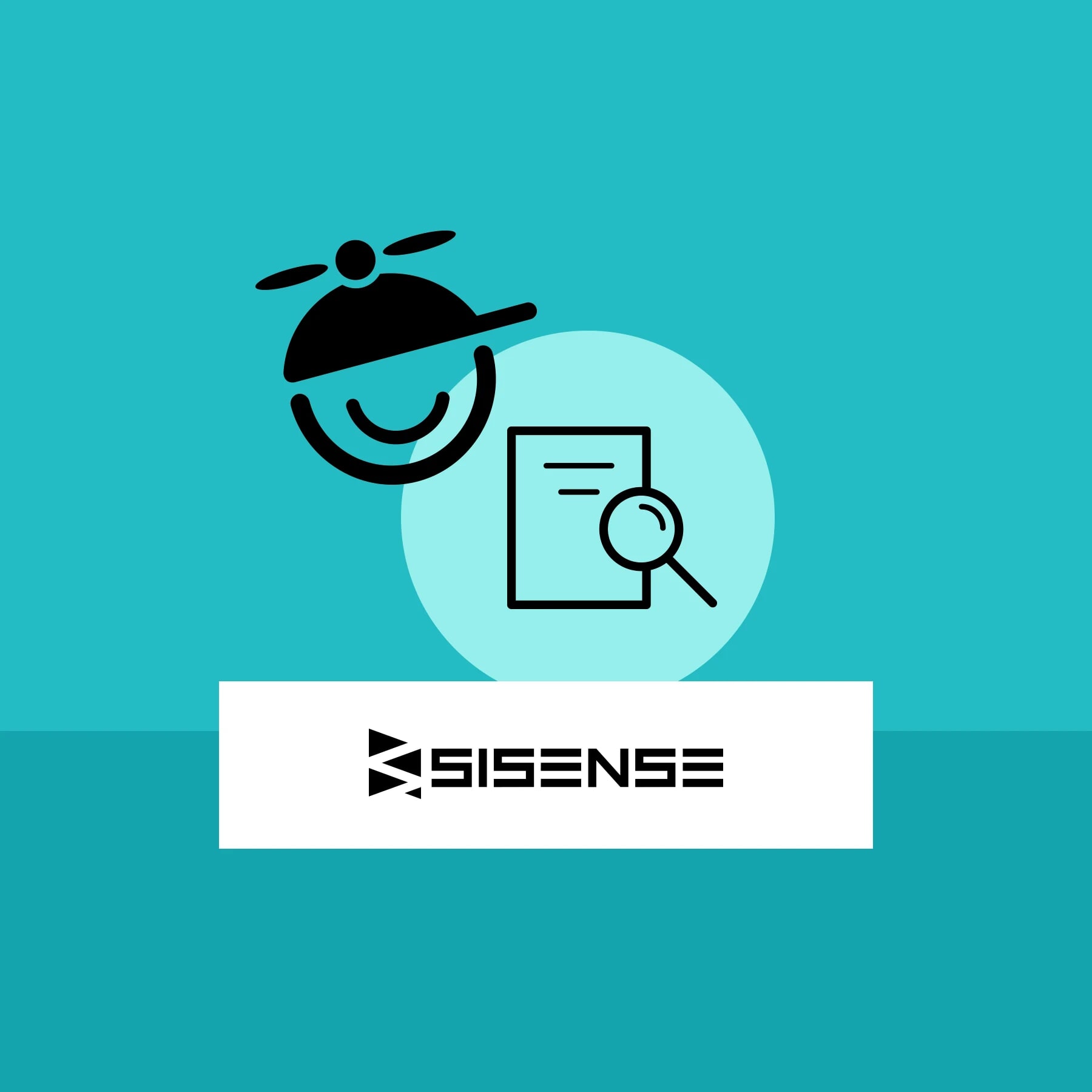 Sisense customer case study