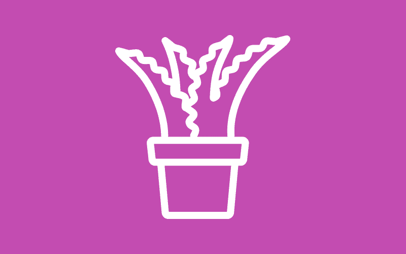 plant icon