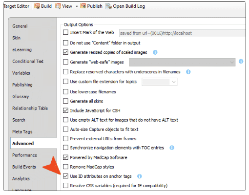 Screenshot of advanced tab in MadCap Flare