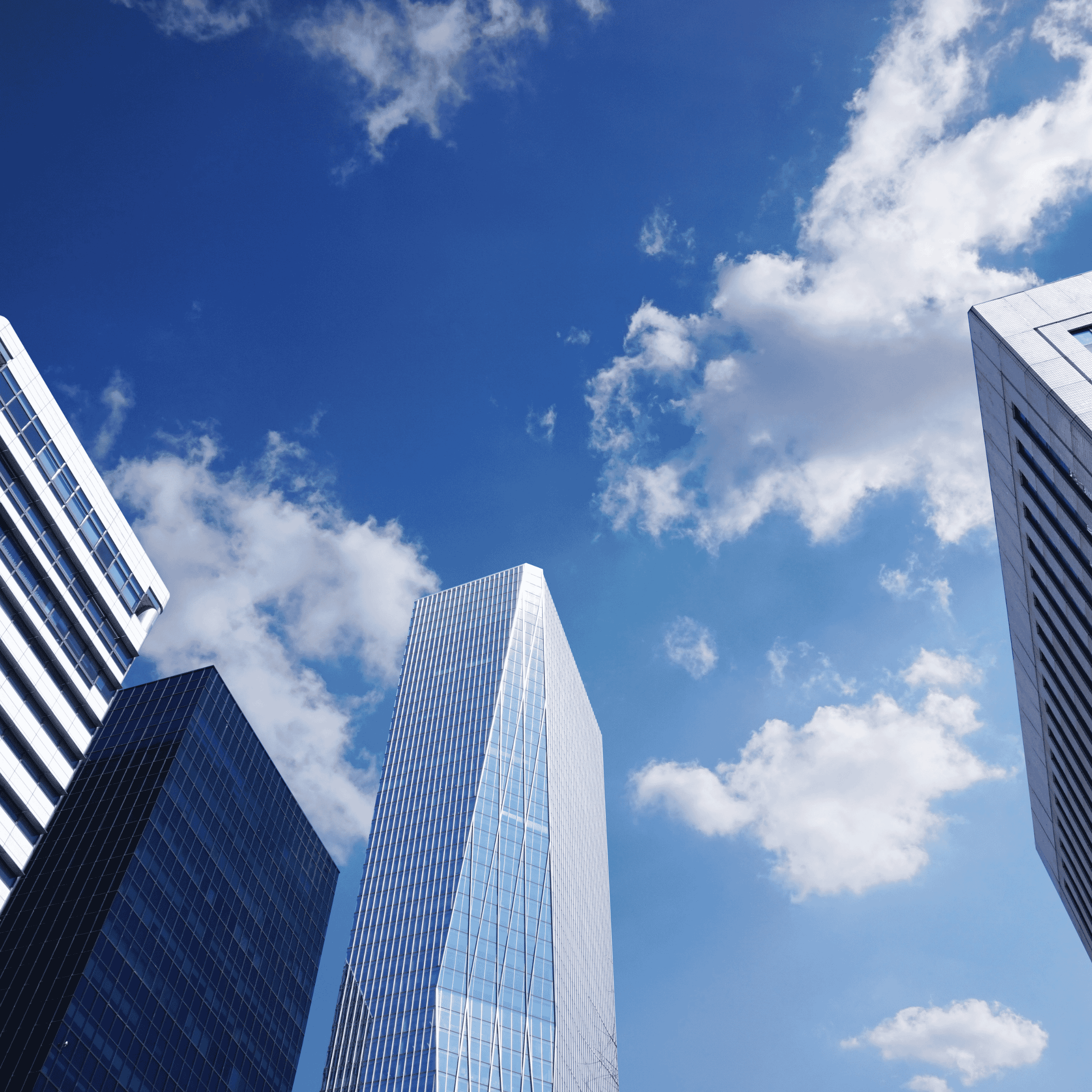 century company banner