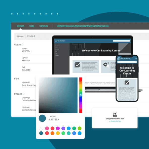 screenshot of branding editor tools in MadCap Central