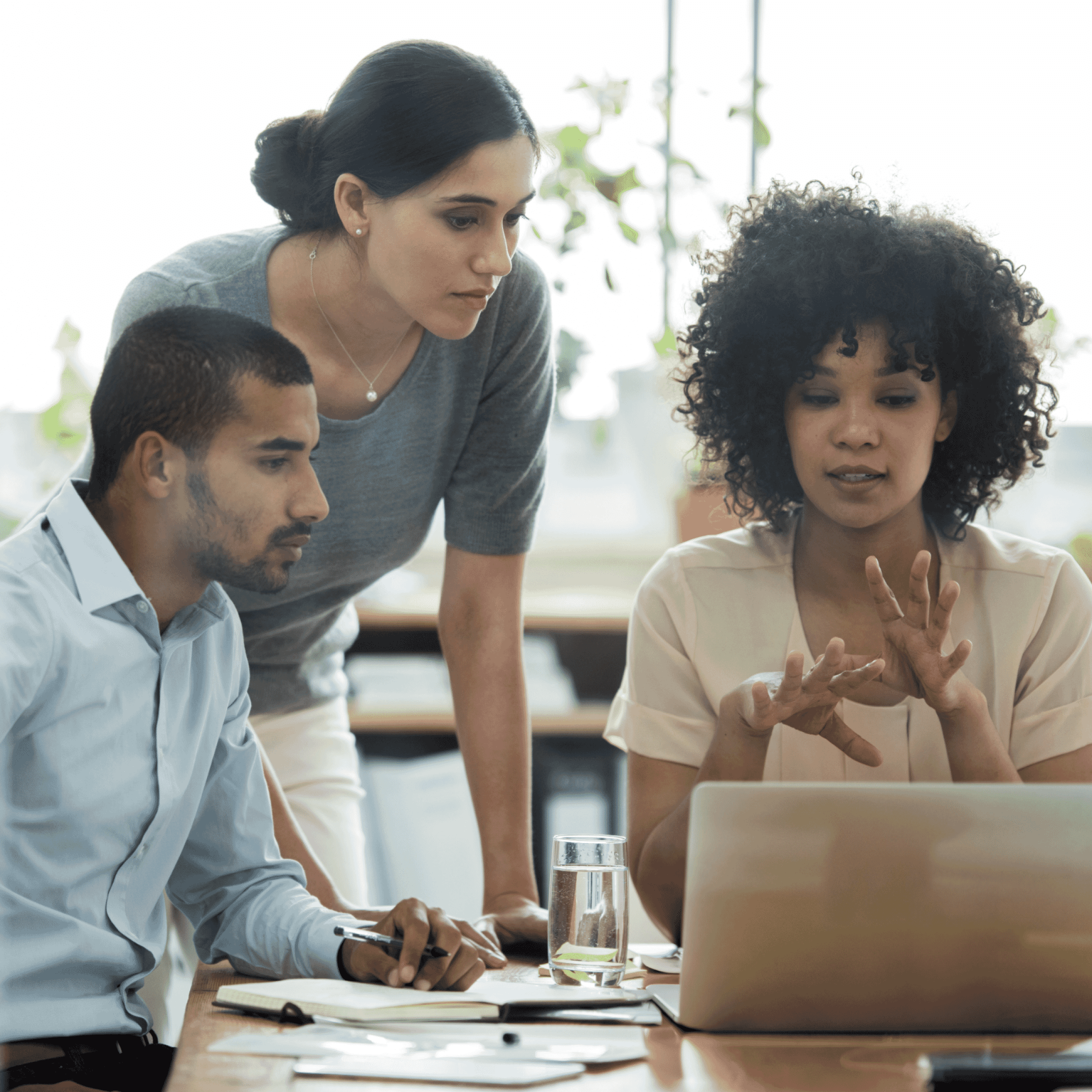 dynamic learning ecosystem banner