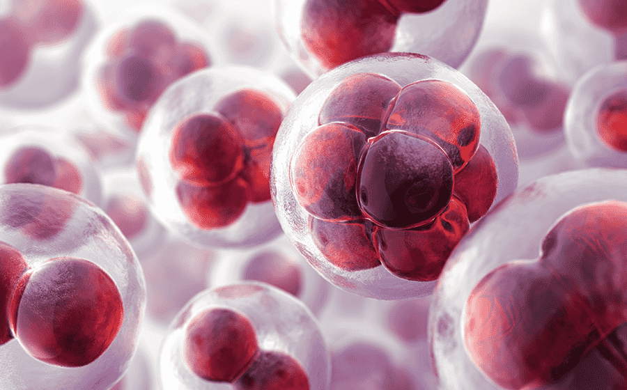 healthcare authoring tools