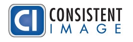 Consistent Image Logo