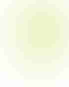 Zendesk icon