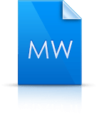 Word Icon