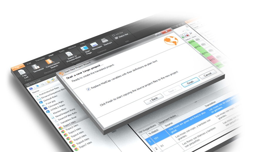 Advanced Translation Features