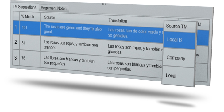Multiple Translation Memory Connections Diagram