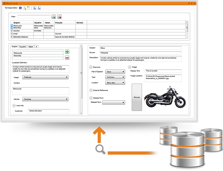 Terminology Management Example