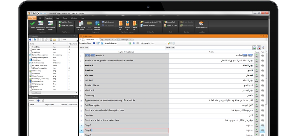 Tranlation Editor Screenshot