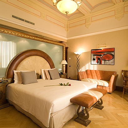 Carlo IV, The Dedica Anthology room