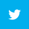 Twitter Icon