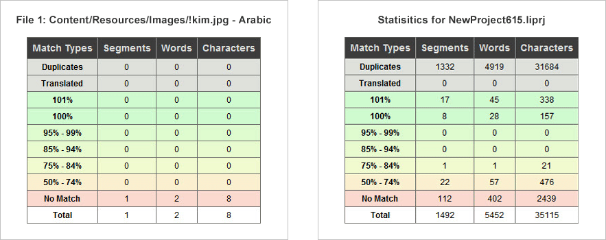 Lingo 10 Report tab